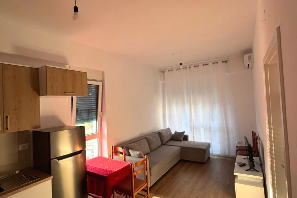 Shtepi me qera 1+1 ne Tirane - 40,000 Leke