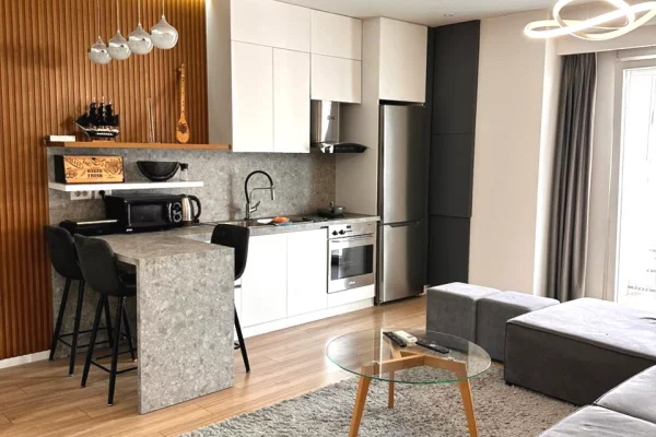 Shtepi me qera Apartament ne Tirane, 1+1, Mobilimi E mobiluar, Pagesa 700  Euro.