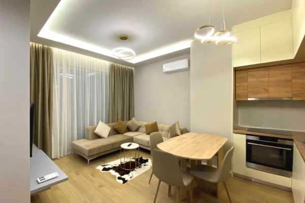 Apartment for rent in Tirana 1+1, Furnished