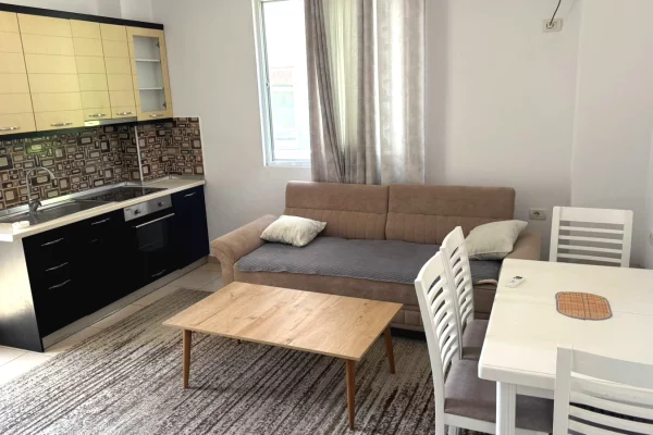 Shtepi me qera 1+1 ne Tirane - 50,000 Leke