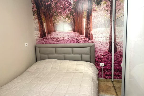 Shtepi me qera Apartament ne Tirane, 1+1, Mobilimi E mobiluar, Pagesa 650  Euro.