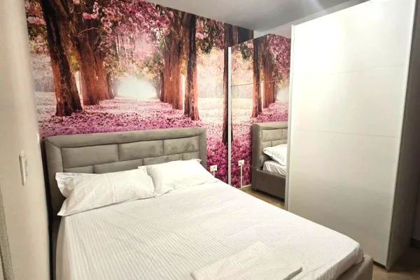 Shtepi me qera Apartament ne Tirane, 1+1, Mobilimi E mobiluar, Pagesa 650  Euro.