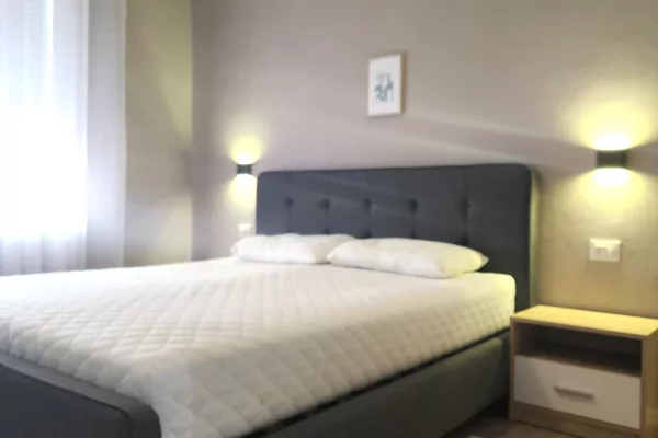 Shtepi me qera Apartament ne Tirane, 1+1, Mobilimi E mobiluar, Pagesa 65,000  Leke.