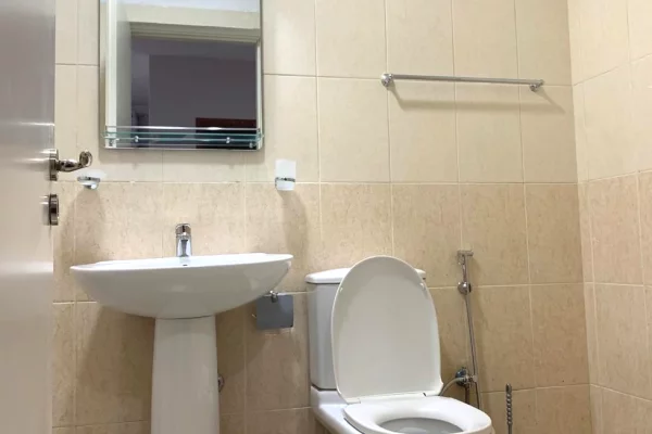 Shtepi me qera Apartament ne Tirane, 1+1, Mobilimi E mobiluar, Pagesa 55,000  Leke.