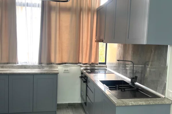 Shtepi me qera Apartament ne Tirane, 1+1, Mobilimi E mobiluar, Pagesa 65,000  Leke.