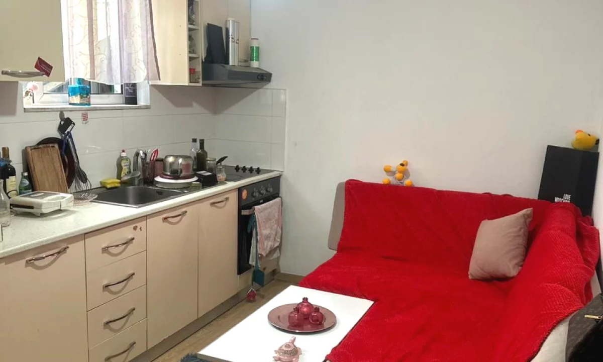 Shtepi me qera Vila Luksoze ne Tirane, 1+1, Mobilimi E mobiluar, Pagesa 35,000  Leke.