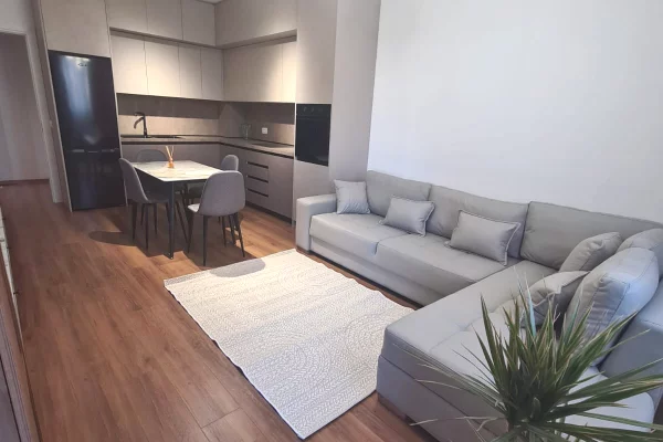 Shtepi me qera 1+1 ne Tirane - 70,000 Leke