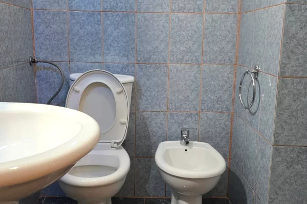 Shtepi me qera Apartament ne Tirane, 2+1, Mobilimi E mobiluar, Pagesa 45,000  Leke.