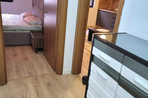 Shtepi me qera Apartament ne Tirane, 1+1, Mobilimi E mobiluar, Pagesa 60,000  Leke.