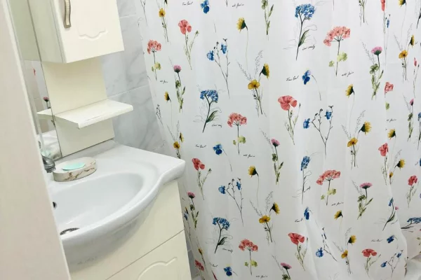 Shtepi me qera Apartament ne Tirane, 1+1, Mobilimi E mobiluar, Pagesa 55,000  Leke.