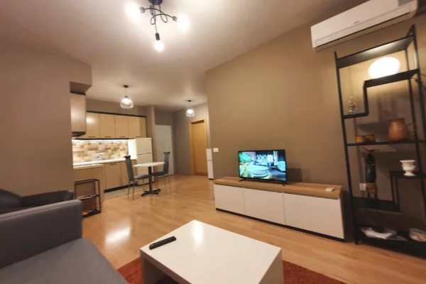 Shtepi me qera Apartament ne Tirane, 1+1, Mobilimi E mobiluar, Pagesa 550  Euro.