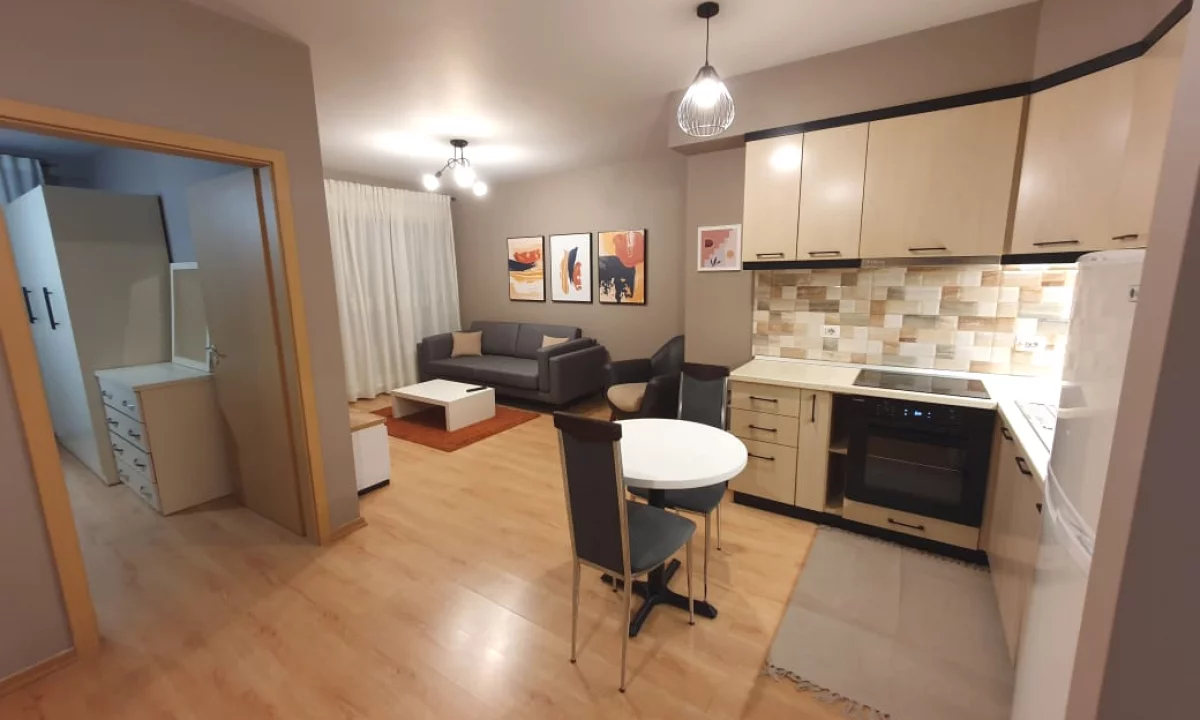 Shtepi me qera Apartament ne Tirane, 1+1, Mobilimi E mobiluar, Pagesa 550  Euro.
