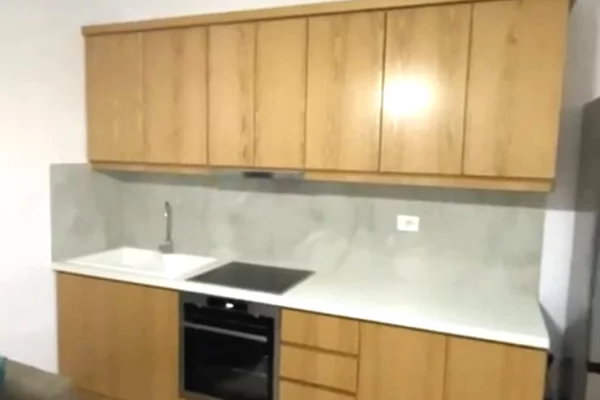 Shtepi me qera Vila Luksoze ne Tirane, 1+1, Mobilimi E mobiluar, Pagesa 500  Euro.