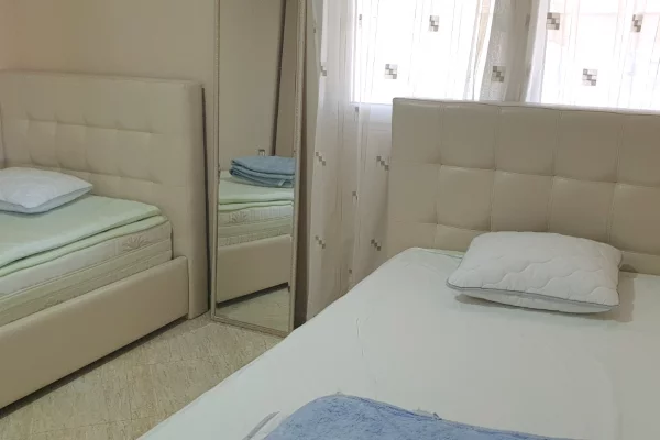 Shtepi me qera Apartament ne Tirane, 1+1, Mobilimi E mobiluar, Pagesa 42,000  Leke.