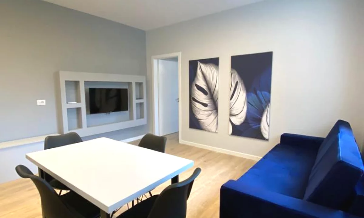 Shtepi me qera Apartament ne Tirane, 1+1, Mobilimi E mobiluar, Pagesa 550  Euro.