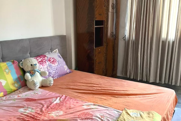 Shtepi me qera Apartament ne Tirane, 1+1, Mobilimi E mobiluar, Pagesa 37,000  Leke.