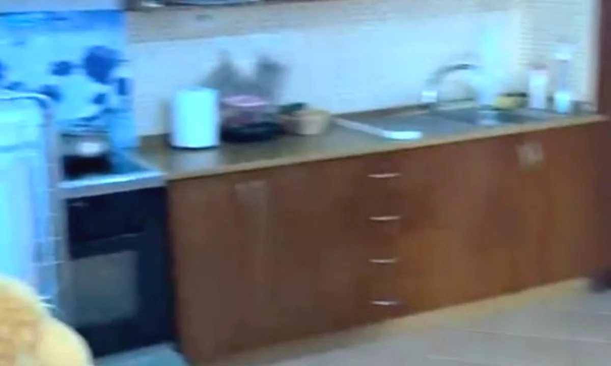 Shtepi me qera Vila Luksoze ne Tirane, 1+1, Mobilimi E mobiluar, Pagesa 40,000  Leke.