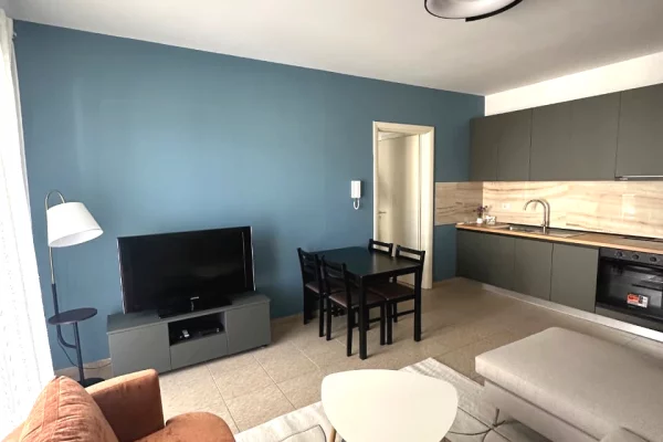 Shtepi me qera Apartament ne Tirane, 1+1, Mobilimi E mobiluar, Pagesa 65,000  Leke.