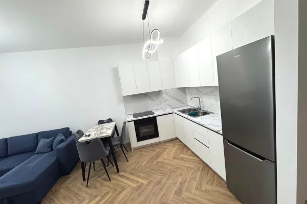 Shtepi me qera Apartament ne Tirane, 1+1, Mobilimi E mobiluar, Pagesa 60,000  Leke.