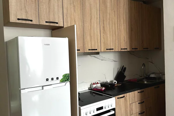 Shtepi me qera Apartament ne Tirane, 1+1, Mobilimi E mobiluar, Pagesa 50,000  Leke.