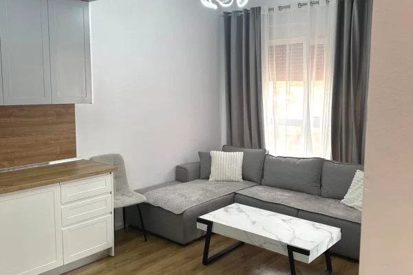 Shtepi me qera Apartament ne Tirane, 1+1, Mobilimi E mobiluar, Pagesa 40,000  Leke.