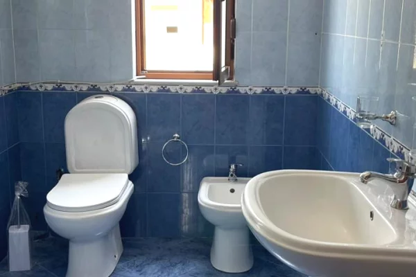 Shtepi me qera Apartament ne Tirane, 1+1, Mobilimi E mobiluar, Pagesa 45,000  Leke.