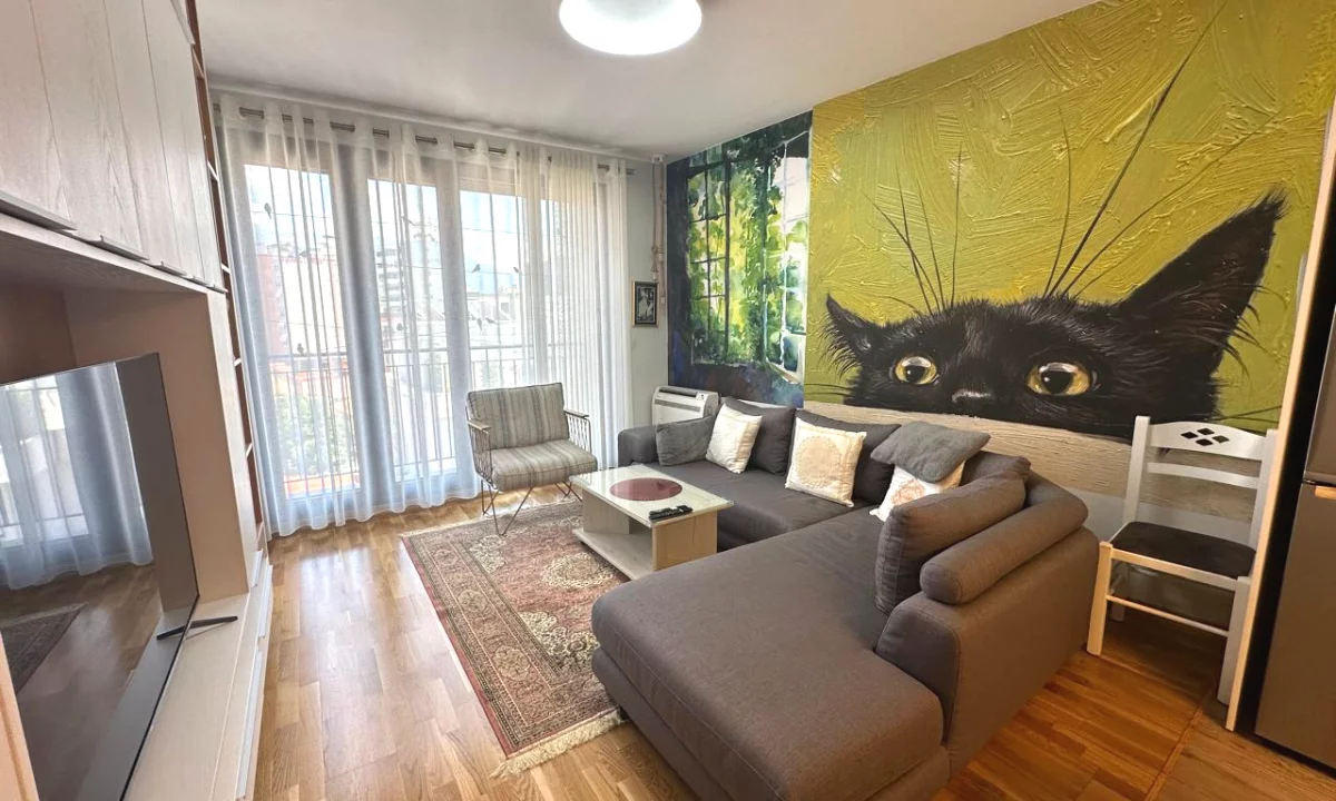 Shtepi me qera Apartament ne Tirane, 1+1, Mobilimi E mobiluar, Pagesa 120,000  Leke.