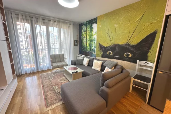 Shtepi me qera Apartament ne Tirane, 1+1, Mobilimi E mobiluar, Pagesa 120,000  Leke.