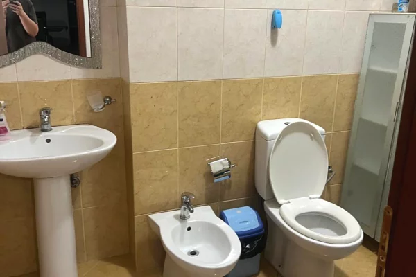 Shtepi me qera Apartament ne Tirane, 1+1, Mobilimi E mobiluar, Pagesa 60,000  Leke.