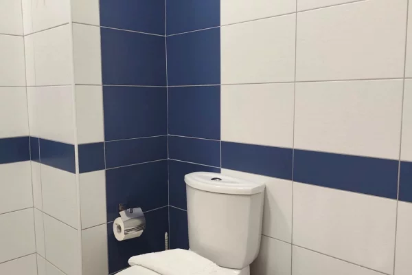 Shtepi me qera Apartament ne Tirane, 1+1, Mobilimi E mobiluar, Pagesa 60,000  Leke.