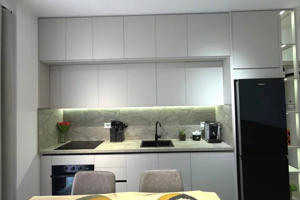 Shtepi me qera Apartament ne Tirane, 1+1, Mobilimi E mobiluar, Pagesa 60,000  Leke.