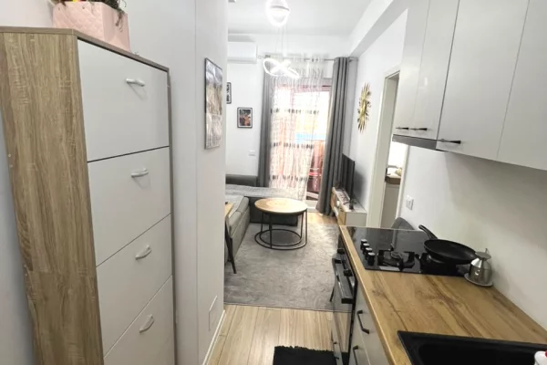 Shtepi me qera Apartament ne Tirane, 1+1, Mobilimi E mobiluar, Pagesa 40,000  Leke.