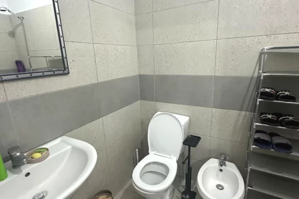 Shtepi me qera Apartament ne Tirane, 1+1, Mobilimi E mobiluar, Pagesa 50,000  Leke.