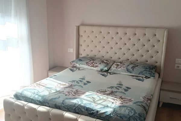 Shtepi me qera Apartament ne Tirane, 1+1, Mobilimi E mobiluar, Pagesa 50,000  Leke.