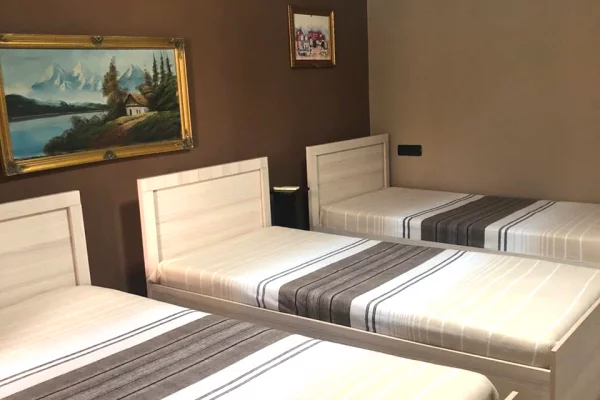 Shtepi me qera Vila Luksoze ne Tirane, 1+1, Mobilimi E mobiluar, Pagesa 50,000  Leke.