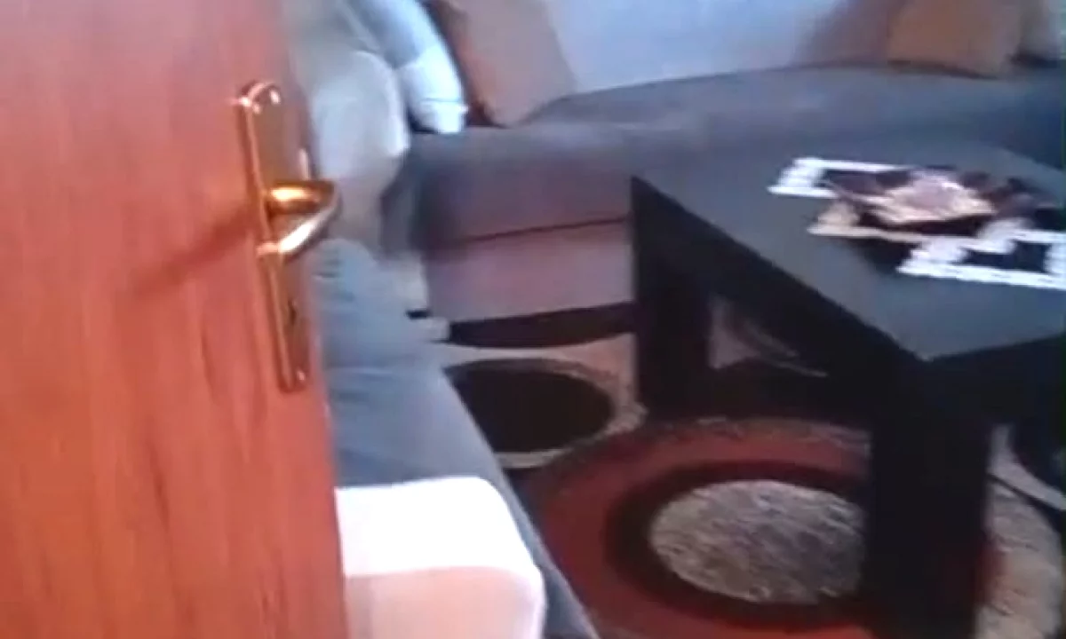 Shtepi me qera Apartament ne Tirane, 2+1, Mobilimi E mobiluar, Pagesa 40,000  Leke.