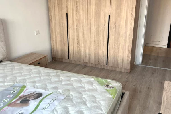 Shtepi me qera Apartament ne Tirane, 1+1, Mobilimi E mobiluar, Pagesa 60,000  Leke.