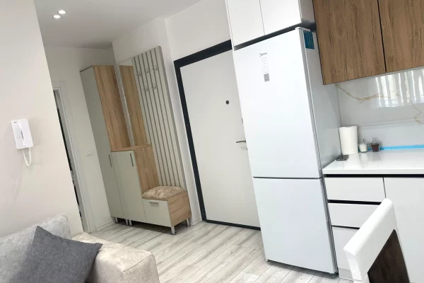 Shtepi me qera Apartament ne Tirane, 1+1, Mobilimi E mobiluar, Pagesa 63,000  Leke.