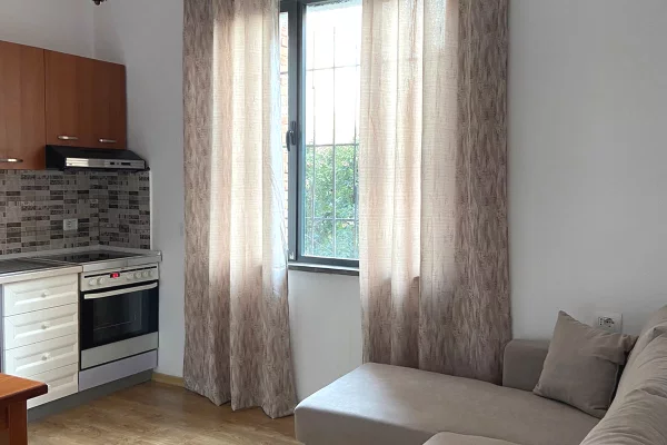 Shtepi me qera Apartament ne Tirane, 1+1, Mobilimi E mobiluar, Pagesa 65,000  Leke.