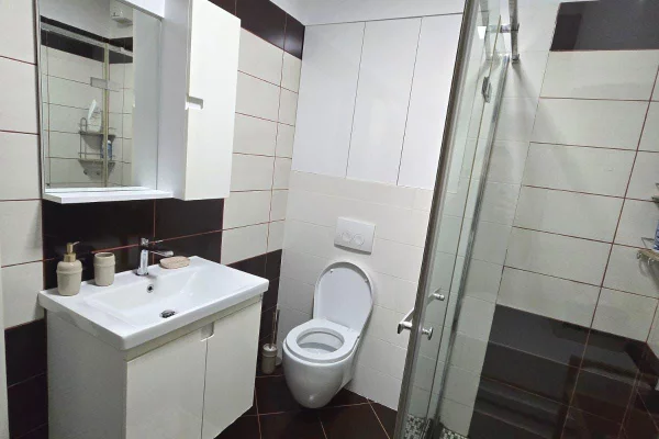 Shtepi me qera Apartament ne Tirane, 1+1, Mobilimi E mobiluar, Pagesa 60,000  Leke.