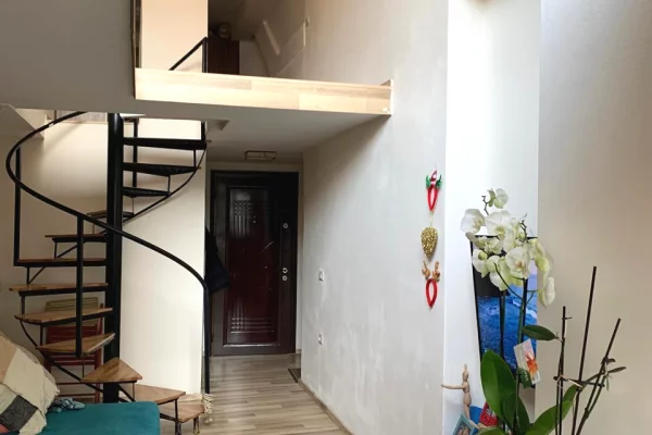 Shtepi me qera Duplex(shtepi me 2 kate) ne Tirane, 1+1, Mobilimi E mobiluar, Pagesa 55,000  Leke.