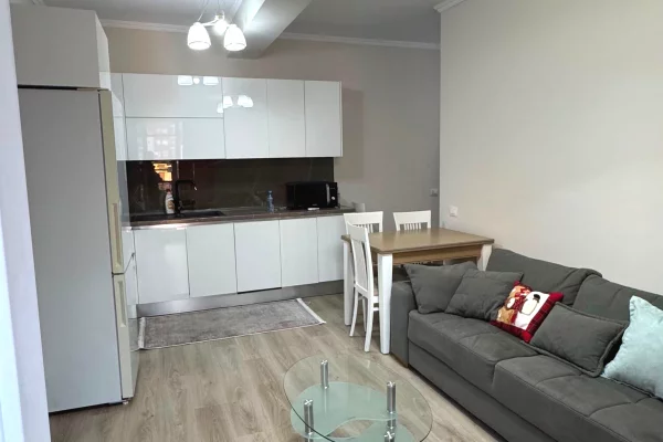 Shtepi me qera Apartament ne Tirane, 1+1, Mobilimi E mobiluar, Pagesa 55,000  Leke.