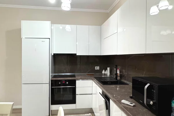 Shtepi me qera Apartament ne Tirane, 1+1, Mobilimi E mobiluar, Pagesa 55,000  Leke.