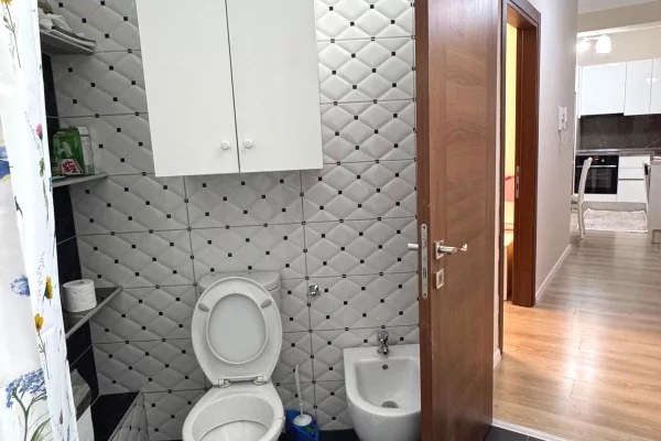 Shtepi me qera Apartament ne Tirane, 1+1, Mobilimi E mobiluar, Pagesa 55,000  Leke.
