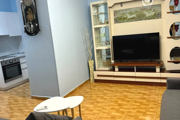 House for Rent Apartment in Tirana, 1+1, Furniture Furnished, Payment 69,000  Leke.