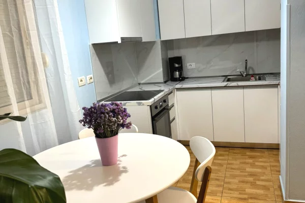 House for Rent Apartment in Tirana, 1+1, Furniture Furnished, Payment 69,000  Leke.