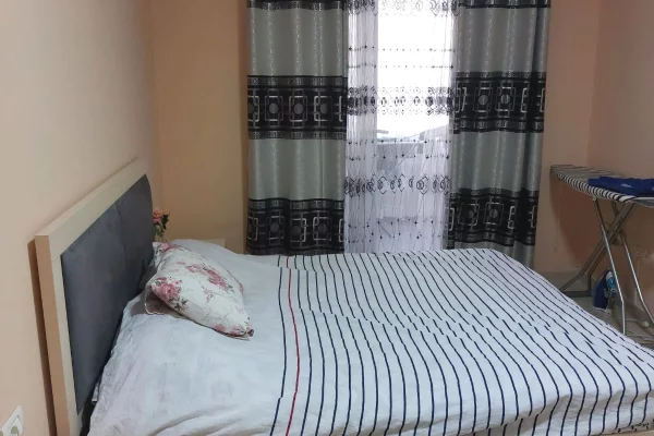 Shtepi me qera Apartament ne Tirane, 1+1, Mobilimi E mobiluar, Pagesa 50,000  Leke.