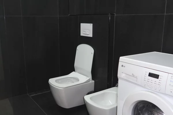 Shtepi me qera Apartament ne Tirane, 2+1, Mobilimi E mobiluar, Pagesa 80,000  Leke.