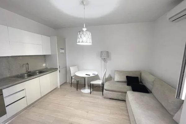 House for Rent 1+1 in Tirana - 50,000 Leke