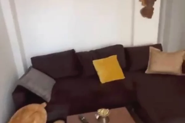 Shtepi me qera Apartament ne Tirane, 2+1, Mobilimi E mobiluar, Pagesa 700  Euro.